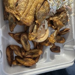 Pollo
