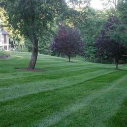 Go Green Landscapes