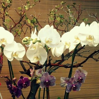 Lee's Orchids - Florists Near Me - Los Angeles, California