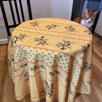 Bleu D'Olive - It's hard to believe it's a wipe-off polyester. Even my cat is impressed ;) - Antiques Near Me - Scottsdale, Arizona Bleu D'Olive - It's hard to believe it's a wipe-off polyester. Even my cat is impressed ;) - Antiques Near Me - Scottsdale, Arizona