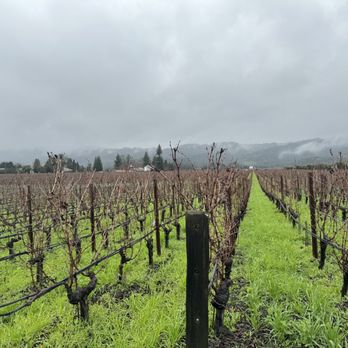 Opus One Winery - Wineries Near Me - Oakville, California Opus One Winery - Wineries Near Me - Oakville, California