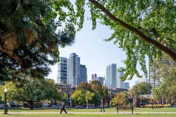 Allan Gardens Conservatory by null