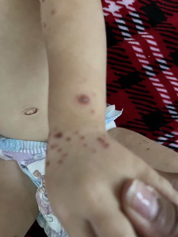 Adventure Kids Playcare - childcare center in Cedar Park, TX