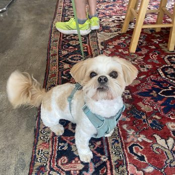 Sundays Coffee - Dog friendly! - Coffee & Tea Near Me - Seattle, Washington