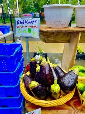 SOAR Farmers Market by null