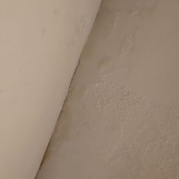 Mold on ceiling Mold on ceiling