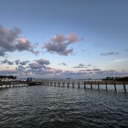 Squid Lips gift card