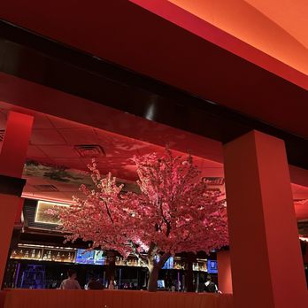 Red Phoenix - Asian Fusion Near Me - Palm Beach Gardens, Florida