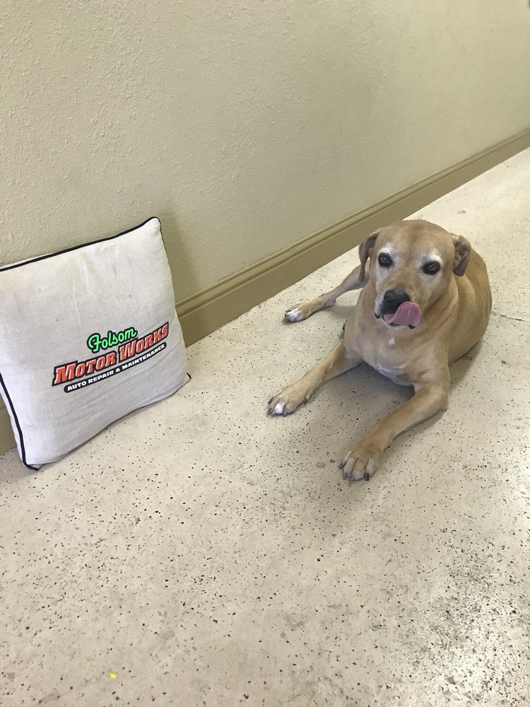 FOLSOM MOTOR WORKS 11 Photos & 64 Reviews Auto Repair 703 Bidwell