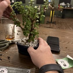 Third Nature Brewing Company - Bonsai Class at Third Nature Brewery