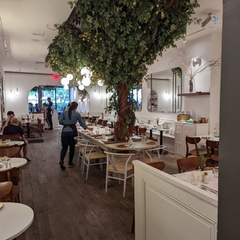 Motek - Inside the restaurant is beautiful.... Although I dinner outdoors - Mediterranean Near Me - Aventura, Florida Motek - Inside the restaurant is beautiful.... Although I dinner outdoors - Mediterranean Near Me - Aventura, Florida