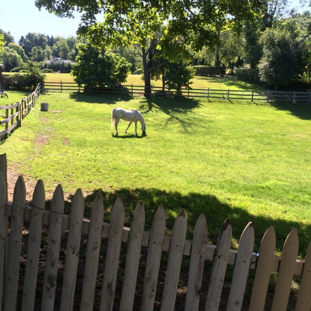 Meadow Lark Farm - Bed & Breakfast Near Me - Warwick, New York Meadow Lark Farm - Bed & Breakfast Near Me - Warwick, New York