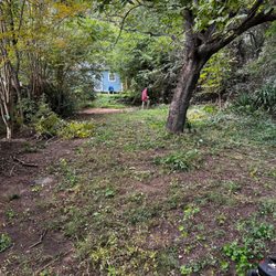 Tiger Walk Landscaping - Before
This was taken as we started to clean up and clear out vines and debris from a local backyard