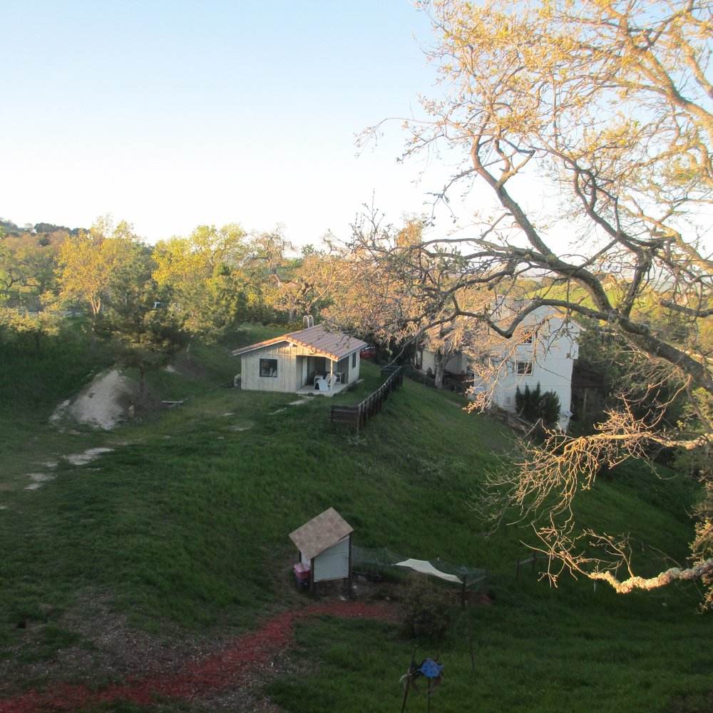 The Best Nest - Bed & Breakfast Near Me - Atascadero, California