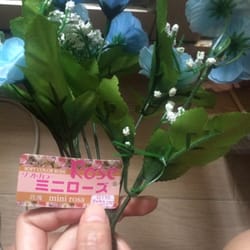 吉之島十元廣場 - 購自十二蚊店既假花