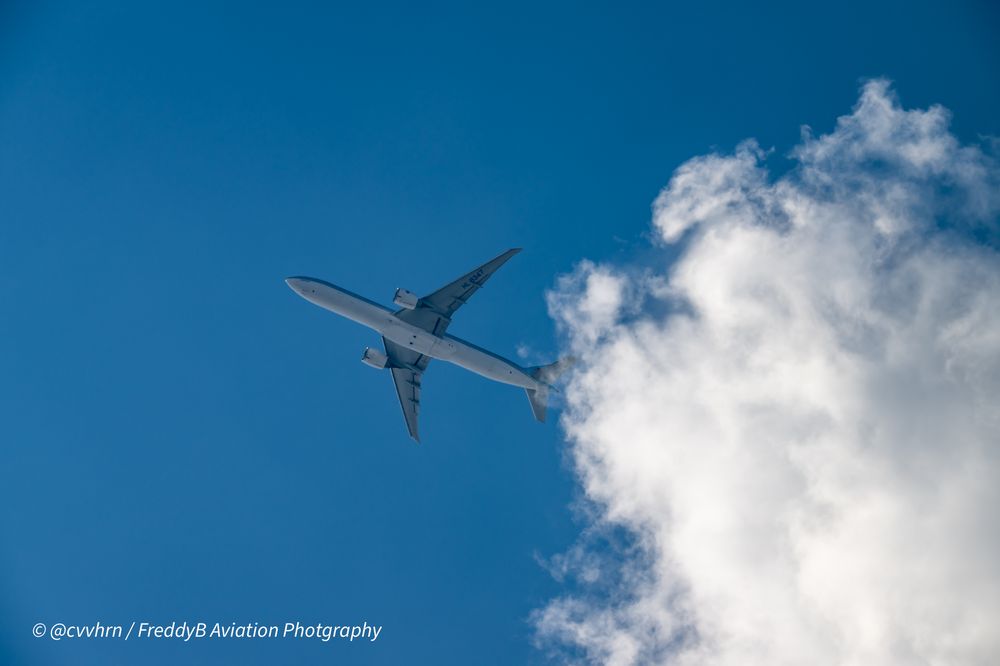 KOREAN AIR - Updated December 2025 - 69 Photos & 81 Reviews - 780 S Airport Blvd, San Francisco, California - Airlines - Phone Number - Yelp