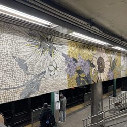 MTA - 77th Street Subway Station - 77th street station February 2026 uptown platform mosaic
