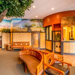 Pediatric Dentistry & Orthodontics - Fun safari theme office with game room!