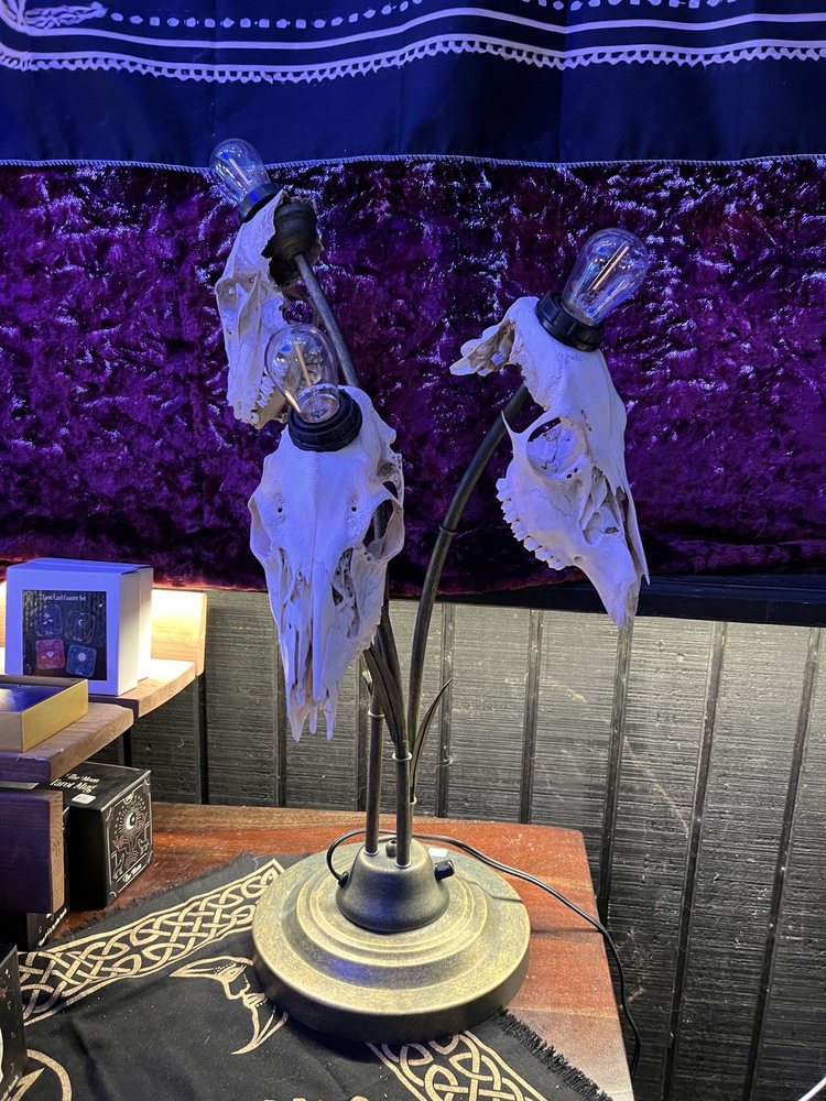 Hail, Dark Aesthetics - taxidermy in Nashville, TN