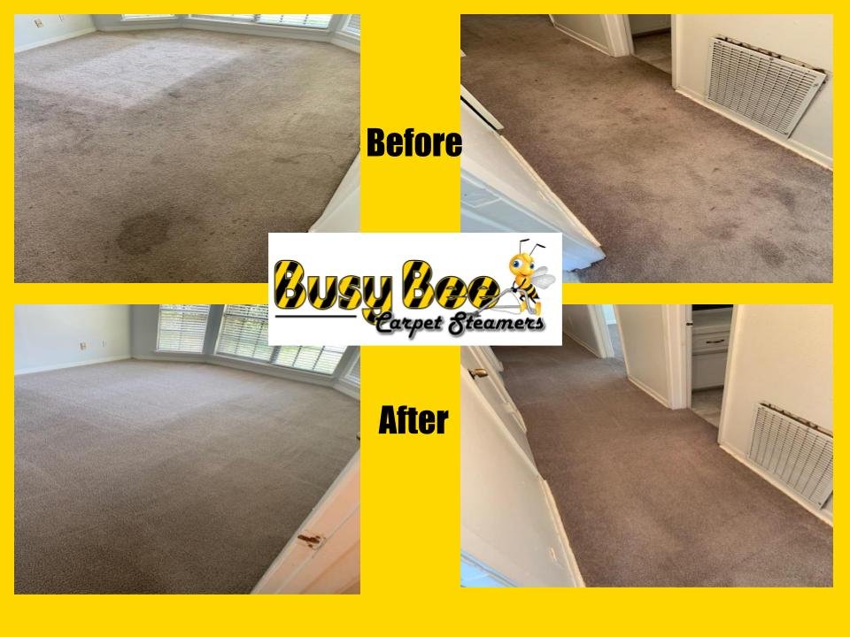 BUSY BEE CARPET STEAMERS 89 Photos & 125 Reviews 13330 Telge Rd