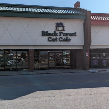 Black Forest Cat Cafe - Front door - Themed Cafes Near Me - Fort Wayne, Indiana