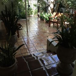 Leo's Holland Floor Maintenance
