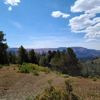 Brian Head Outdoor Adventures - View from meadow - ATV Rentals/Tours Near Me - Brian Head, Utah