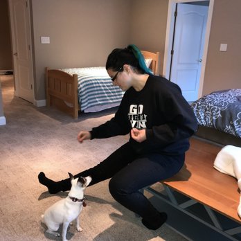 Caitlin's Animal Training Services - Bailey and Caitlin. Private session in our home. - Pet Training Near Me