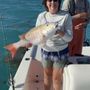 Photo of Above The Cut Fishing Charter