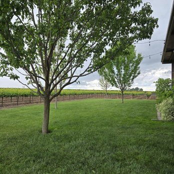 m2 Wines - Lawn grass area by the outside patio. Lots of seating outside on both sides of their building ! - Wine Tasting Room Near Me - Acampo, California