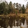 Photo of Reed Lake