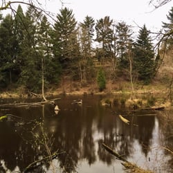 Reed Lake
