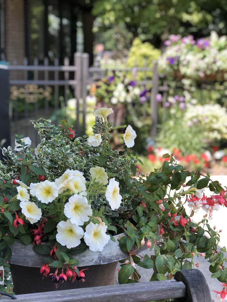 HEADLINERS DESIGN STUDIO 34 Photos 516 Park Rd, Jackson, Michigan