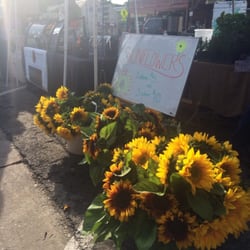 Jackson Hole Farmers Market on the Town Square