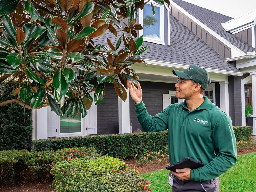 TruGreen Lawn Care - tree service in Birmingham, AL