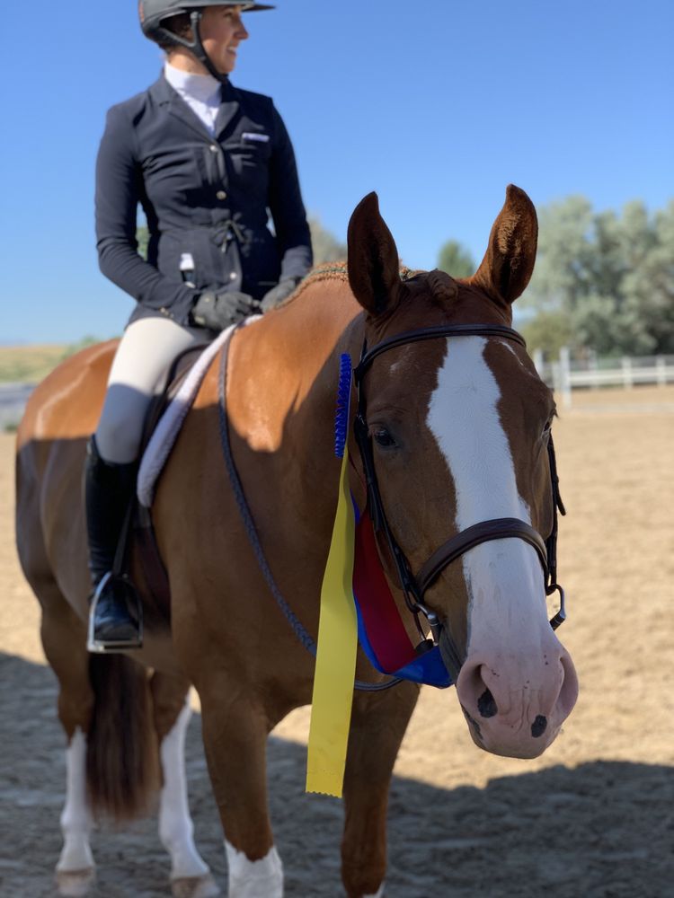 Equine Pavilion - equestrian in Heber City, UT