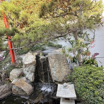 Pho 79 - The garden on the side on the restaurant definitely check it out so many gorgeous orchids and this waterfall - Vietnamese Near Me - Westminster, California Pho 79 - The garden on the side on the restaurant definitely check it out so many gorgeous orchids and this waterfall - Vietnamese Near Me - Westminster, California