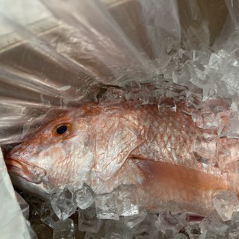 Champions Seafood Market - the freshest and most awesome red snapper. brought to us with friendly and unsurpassed service!!! - Seafood Markets Near Me - Spring, Texas
