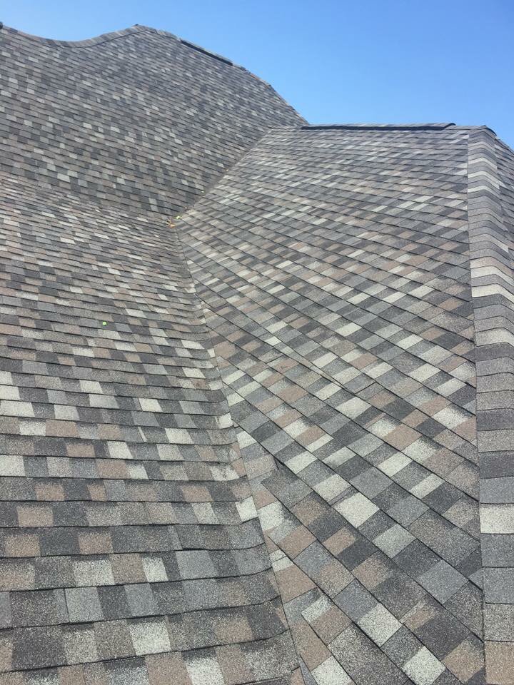 Slide of Construction Specialist