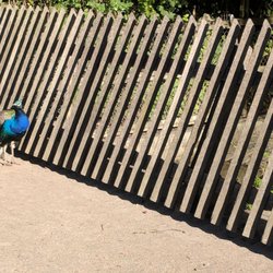 Tiergehege im Bürgerpark