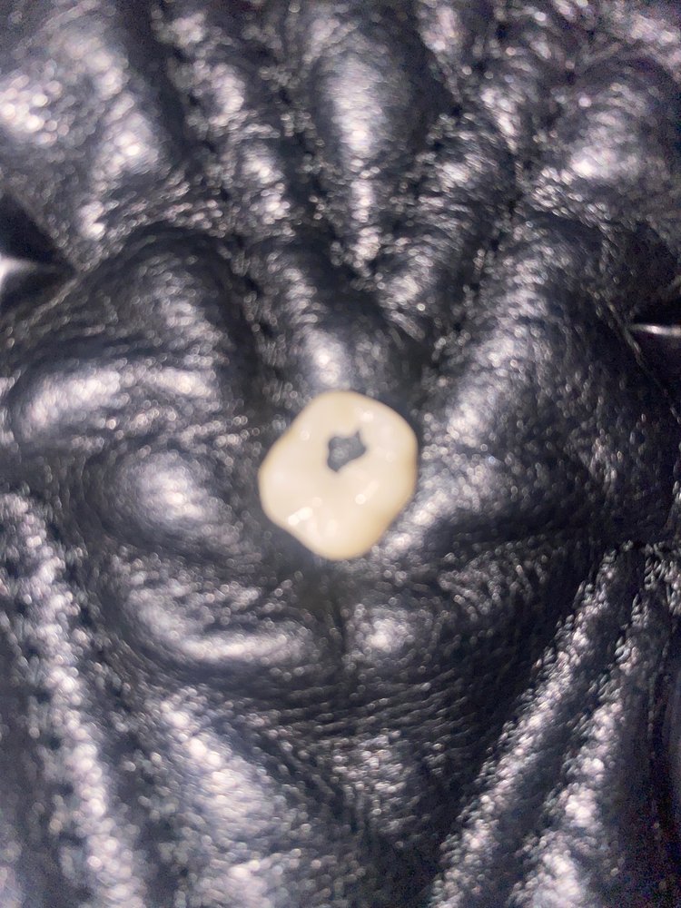 SMILE LOFT DENTAL AT HILLANDALE Updated April 2024 10230 New