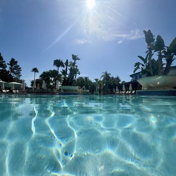 Hilton Orlando - Family pool - Hotels Near Me - Orlando, Florida