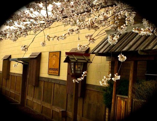 Sakura Budokan