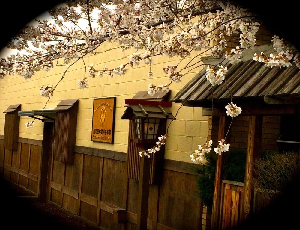 SAKURA BUDOKAN Updated September 2024 390 Tioga Ave, Kingston, Pennsylvania Martial Arts