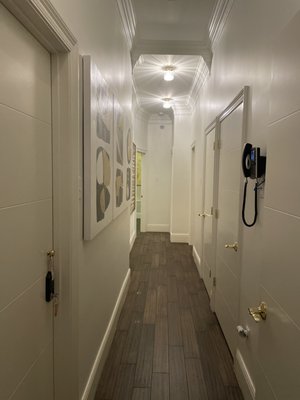 Serenity in the Marigny by null