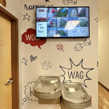 Camp Bow Wow - Pet Sitting Near Me - Centennial, Colorado Camp Bow Wow - Pet Sitting Near Me - Centennial, Colorado