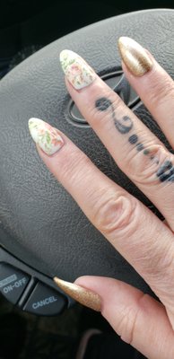 American Beauty by null