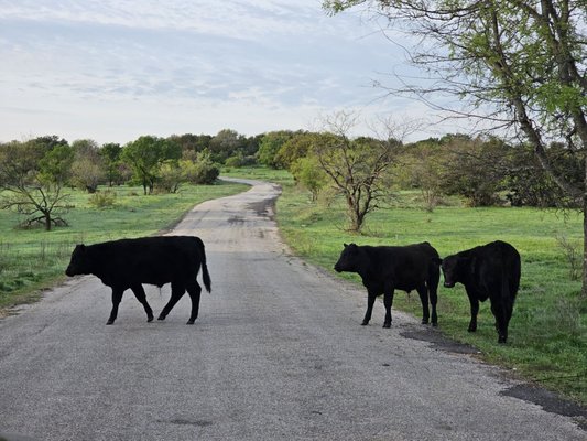 Colorado Bend State Park by null