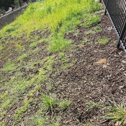 Redwood Landscape Management