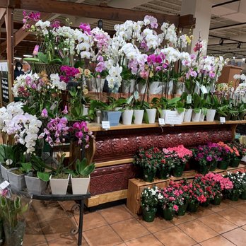 The Fresh Market - Orchids - Grocery Near Me - Roanoke, Virginia The Fresh Market - Orchids - Grocery Near Me - Roanoke, Virginia